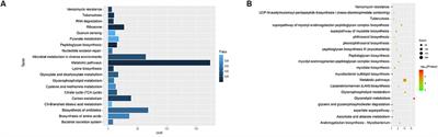 High-Throughput Screen for Cell Wall Synthesis Network Module in Mycobacterium tuberculosis Based on Integrated Bioinformatics Strategy